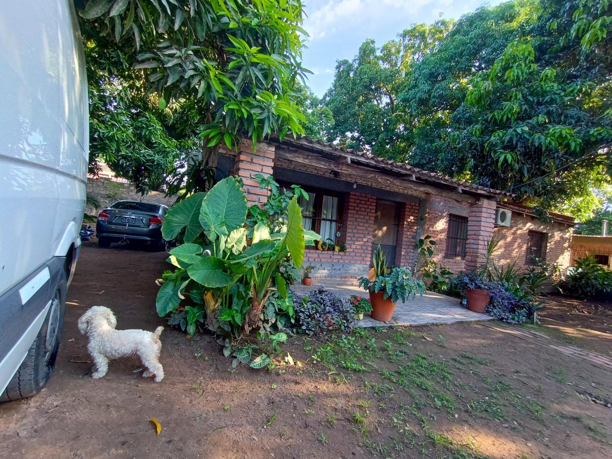 Entre Mangos Y Tucanes Calilegua Exteriör bild